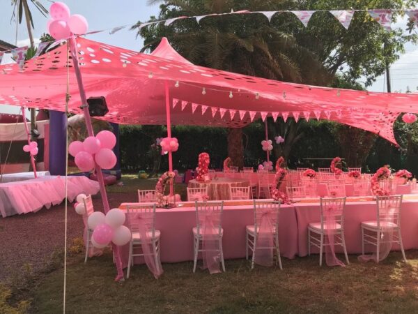 Pink Cheese Tent